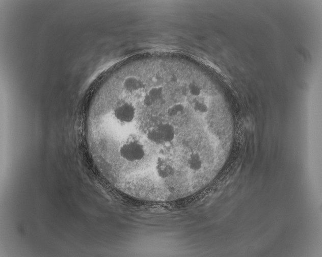 X0000112531255200909281030