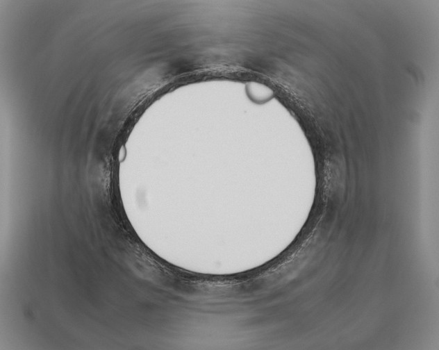 X0000112531257200909281030