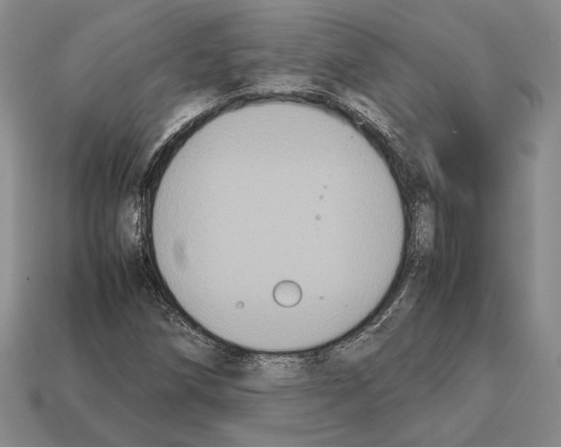 X0000112531258200909281030