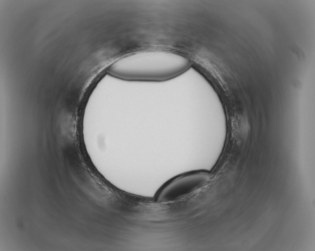 X0000112531260200909281030