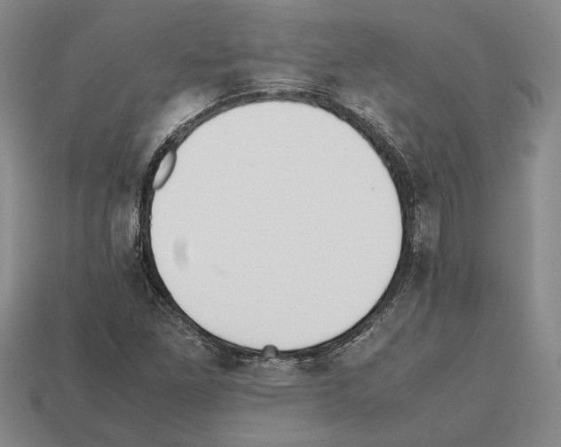 X0000112531261200909281030