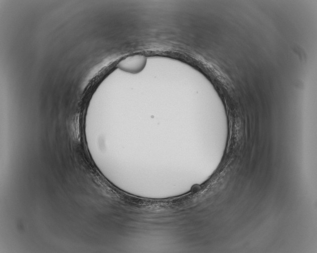 X0000112531262200909281030