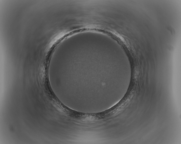 X0000112531263200909281030