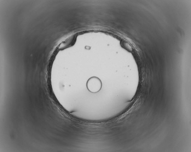 X0000112531264200909281030