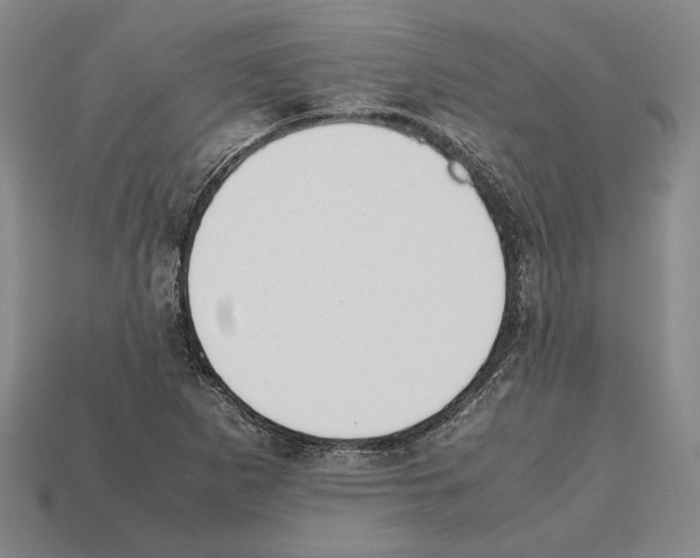 X0000112531265200909281030