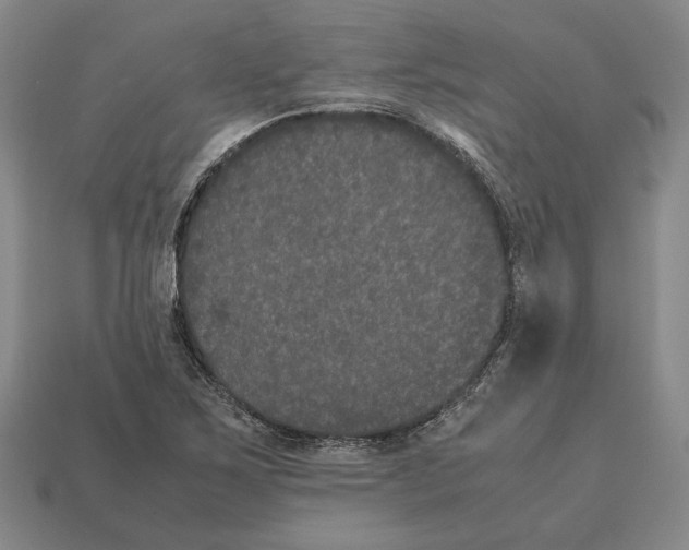 X0000112531267200909281030