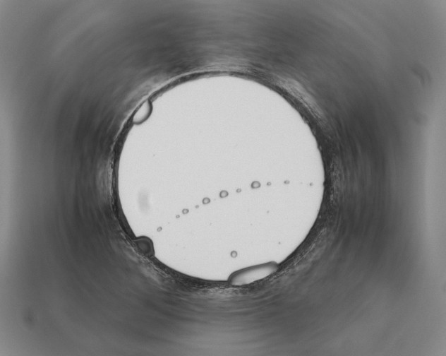 X0000112531268200909281030