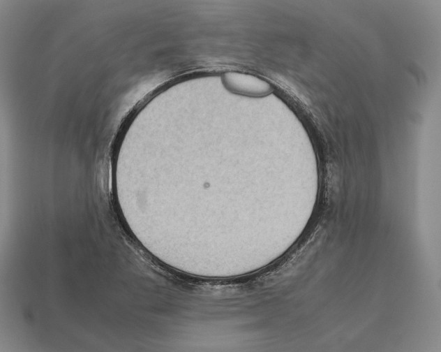 X0000112531269200909281030