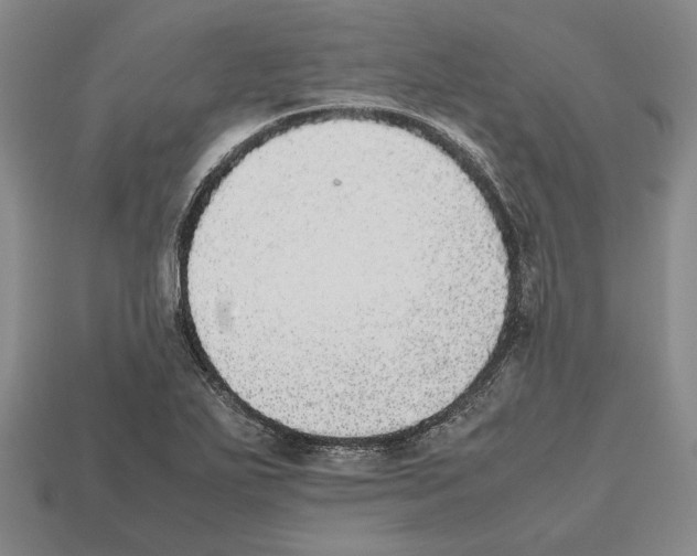 X0000112531271200909281030