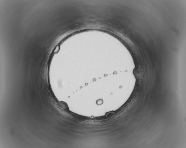 X0000112531272200909281030