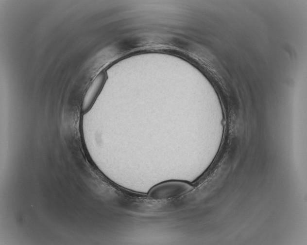 X0000112531273200909281030