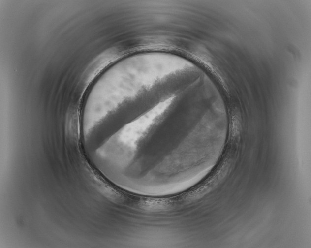 X0000112531274200909281030