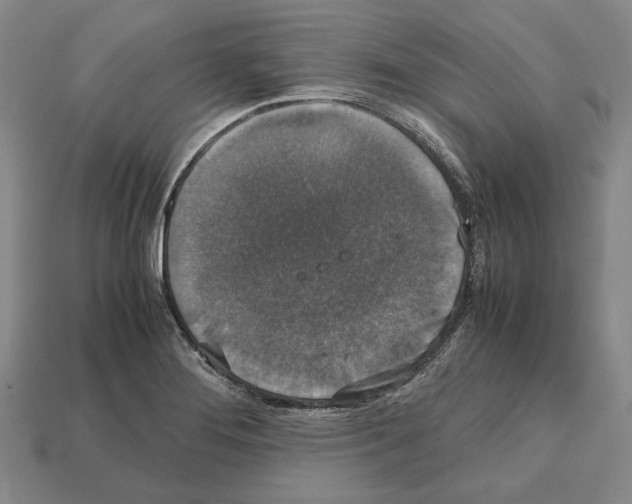 X0000112531276200909281030