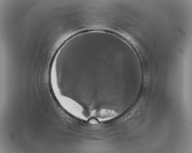 X0000112531279200909281030