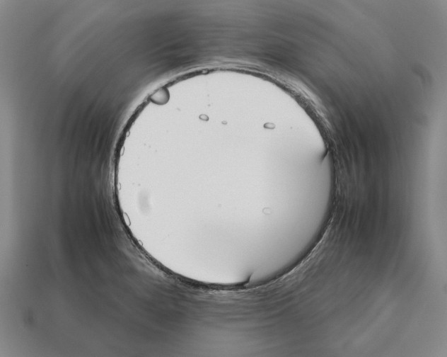 X0000112531280200909281030