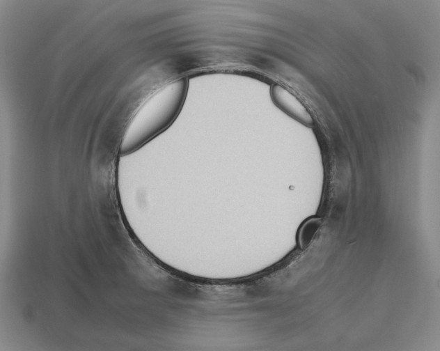 X0000112531281200909281030