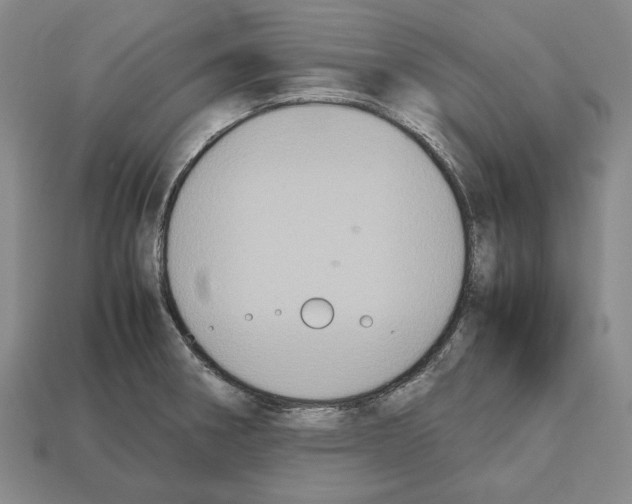 X0000112531282200909281030