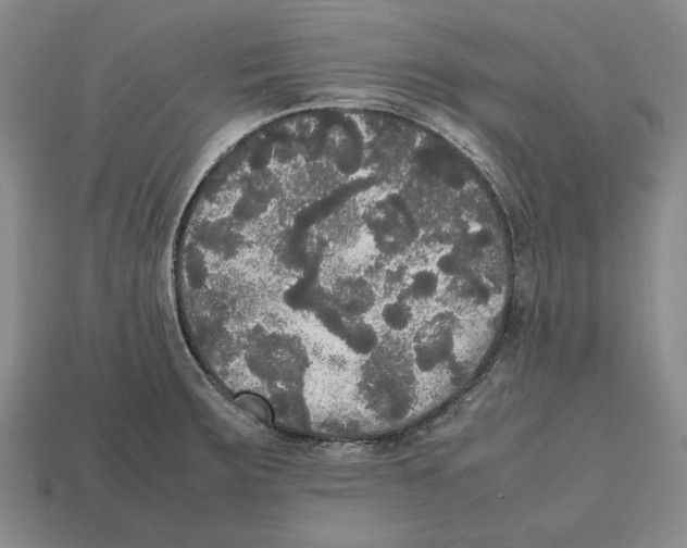 X0000112531283200909281030