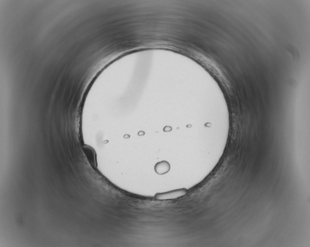 X0000112531284200909281030