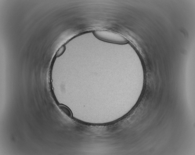 X0000112531285200909281030