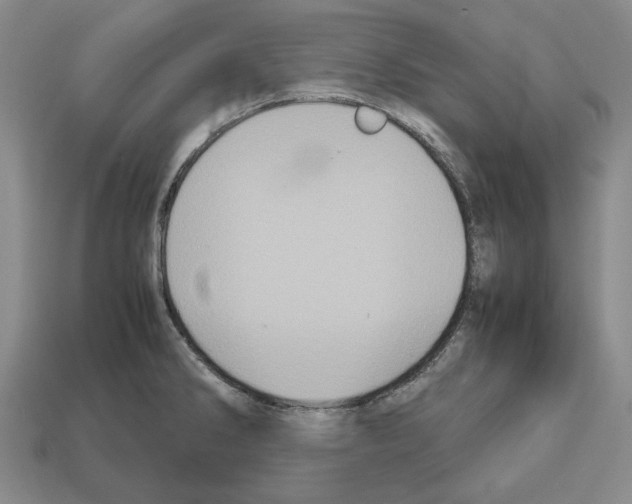 X0000112531286200909281030