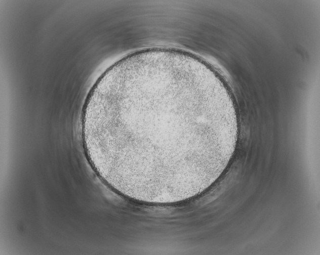 X0000112531287200909281030