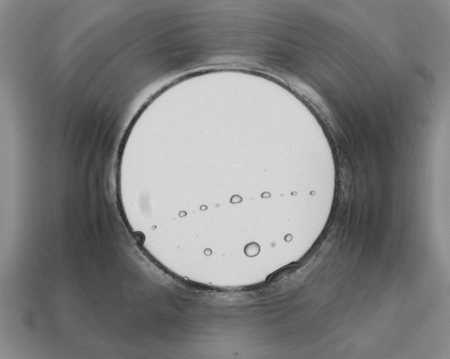 X0000112531288200909281030