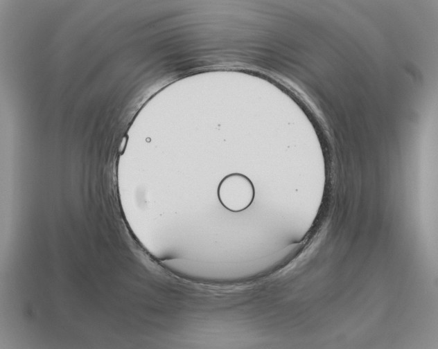 X0000112531289200909281030