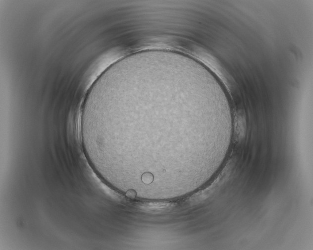 X0000112531290200909281030