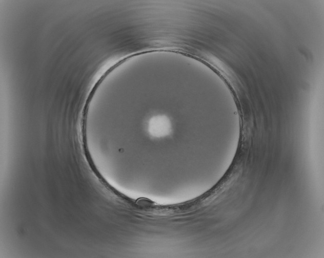 X0000112531291200909281030