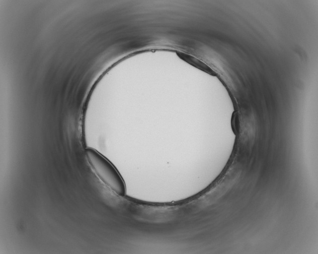 X0000112531292200909281030