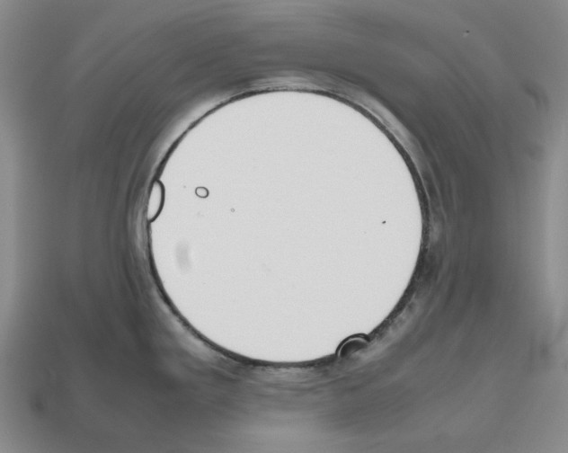 X0000112531293200909281030