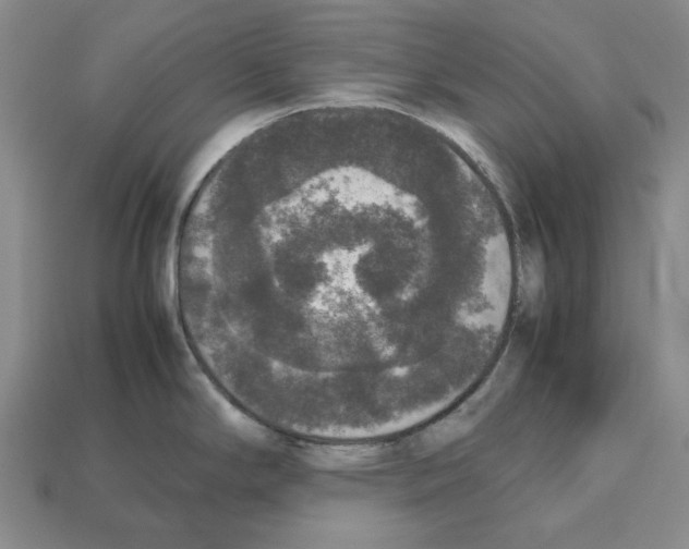 X0000112531294200909281030