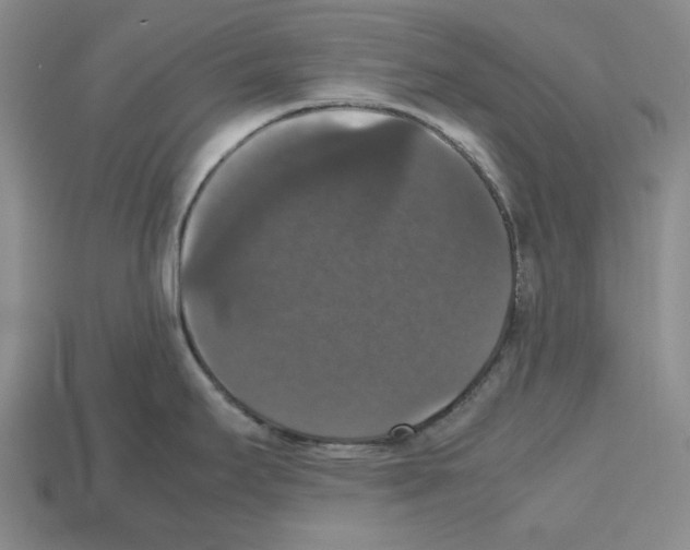 X0000112531295200909281030