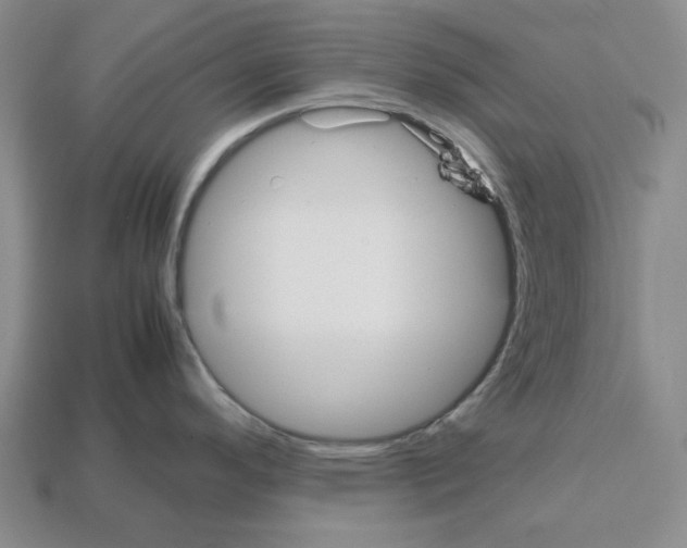 X0000112531296200909281030