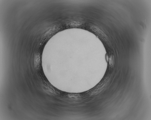 X0000112531299200909281029