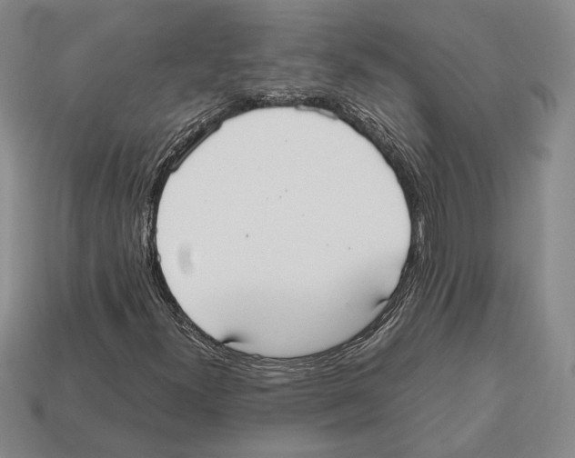 X0000112531300200909281029