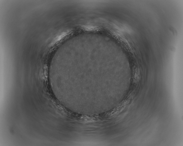 X0000112531301200909281029