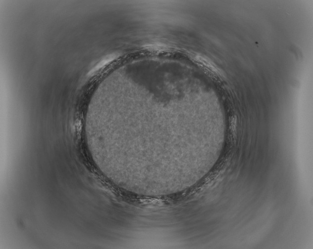 X0000112531302200909281029