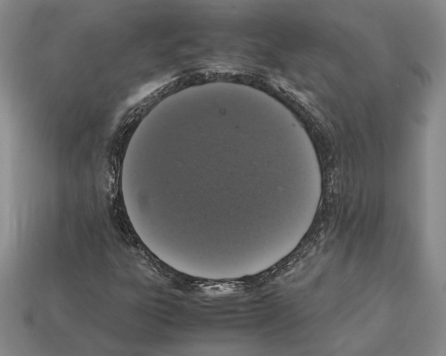 X0000112531303200909281029