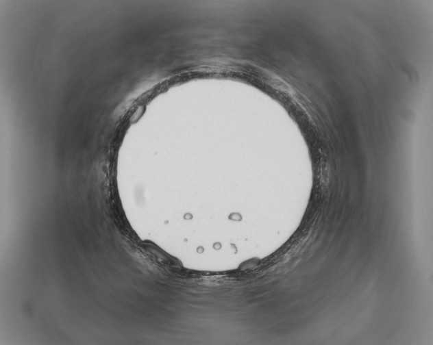 X0000112531304200909281029