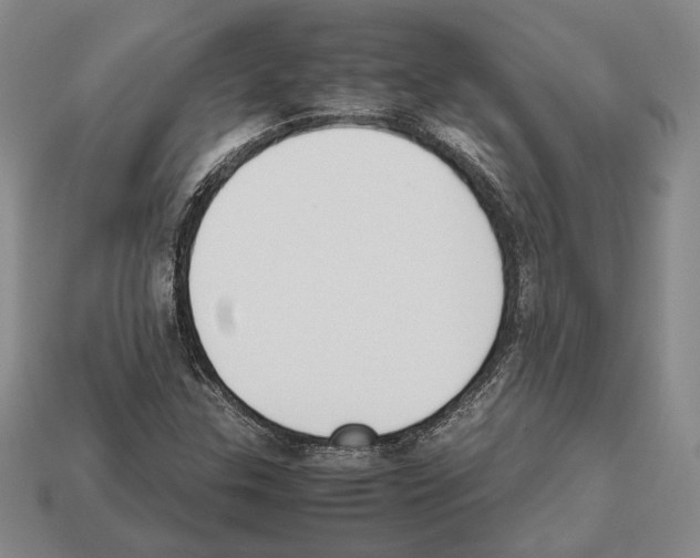 X0000112531307200909281029