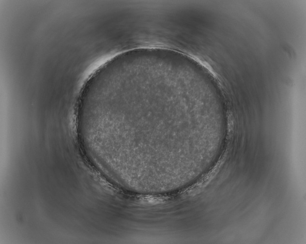 X0000112531311200909281029