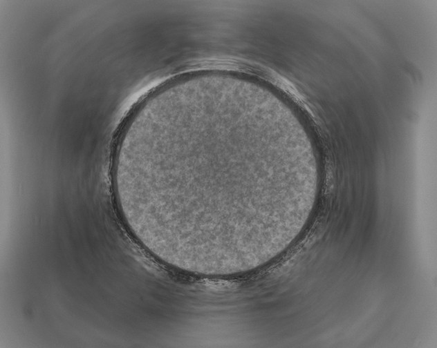 X0000112531312200909281029