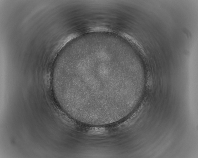 X0000112531313200909281029