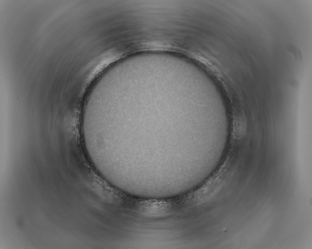 X0000112531314200909281029