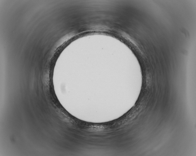 X0000112531315200909281029