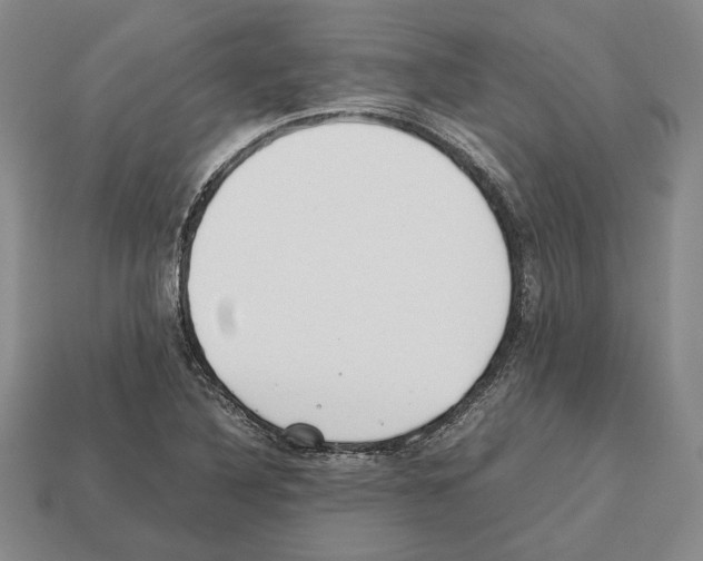 X0000112531316200909281029