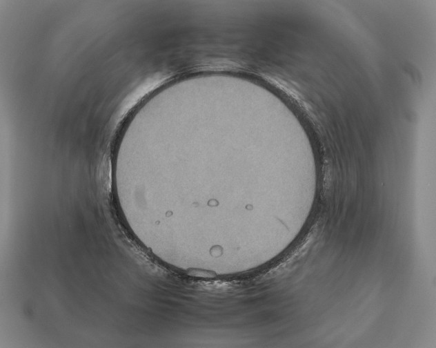 X0000112531317200909281029