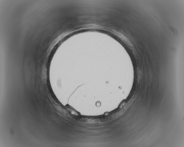 X0000112531318200909281029